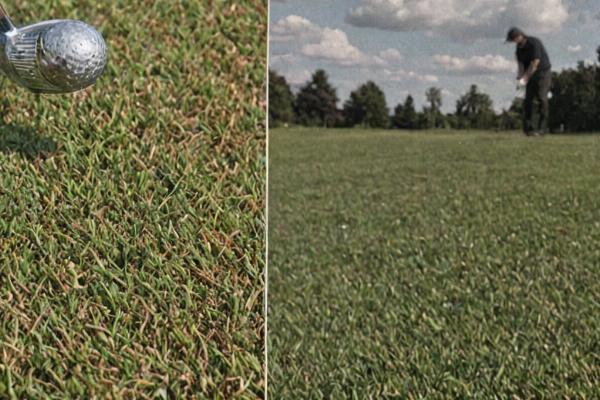 Golf club repair before and after comparison